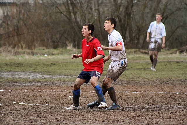 术多样性 术多样性