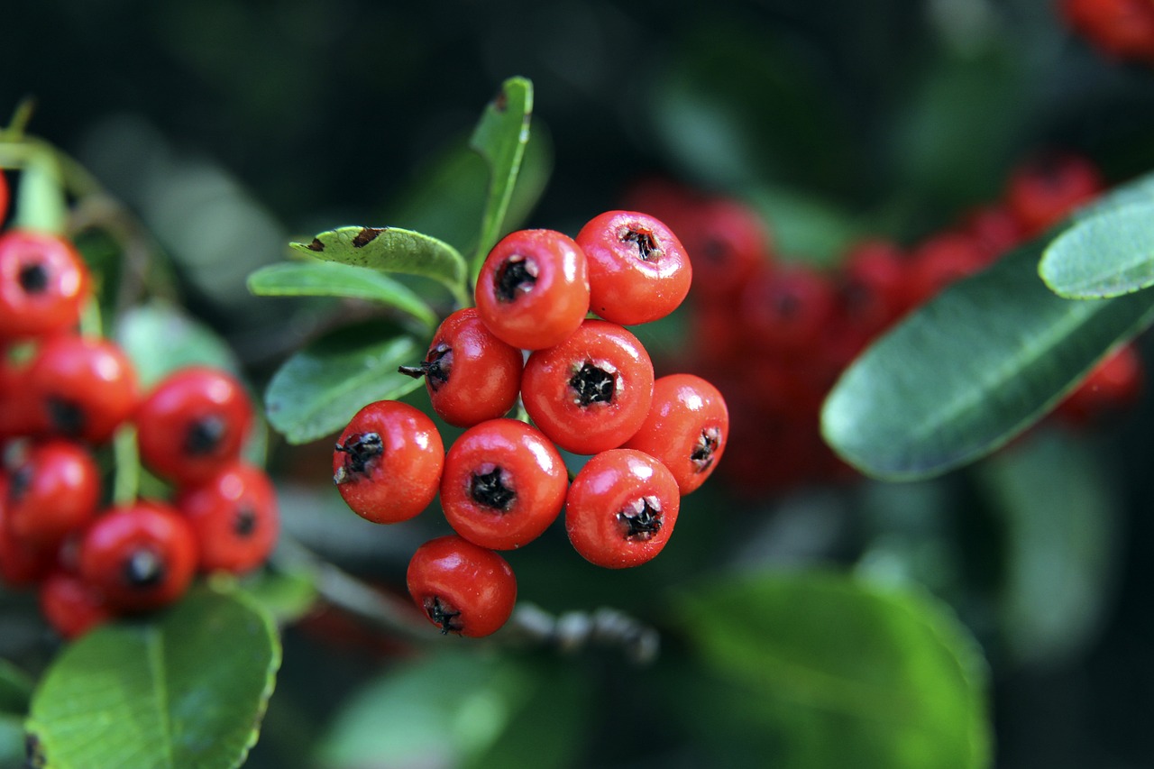 显然远超最 显然远超最