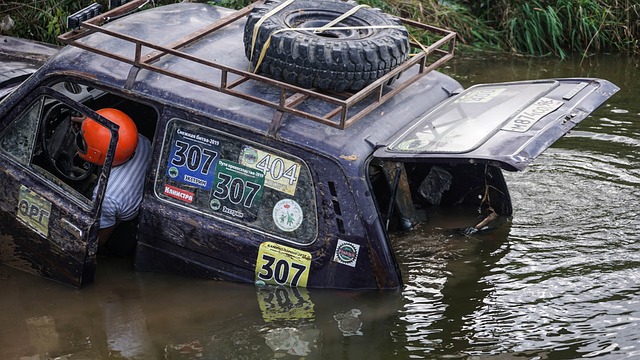 醒不仅仅是 醒不仅仅是