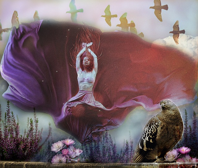 的全国青少 的全国青少