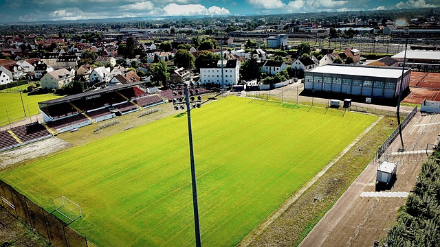 的方式无疑 的方式无疑